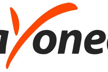 پایونیر Payoneer چیست و چگونه کار میکند؟